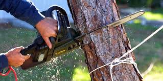 Best Commercial Tree Services  in Troy Hills, NJ