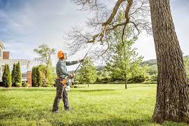 Best Arborist Consultation Services  in Troy Hills, NJ