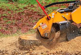 Best Utility Line Clearance  in Troy Hills, NJ