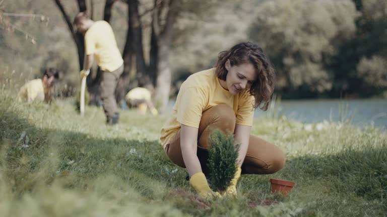 Best Pest Control for Lawns  in Troy Hills, NJ