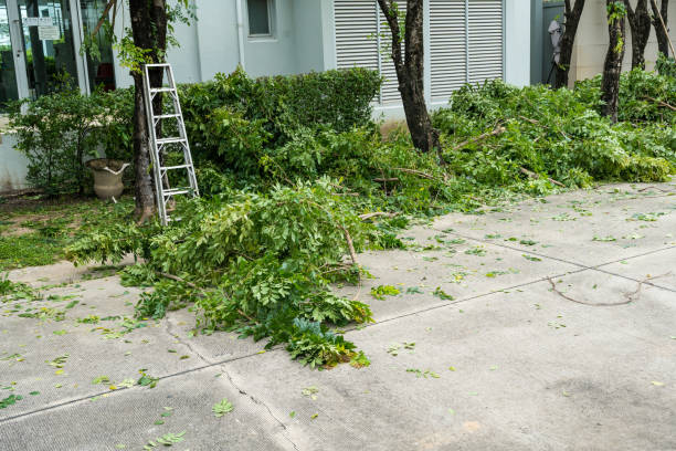 Best Aeration Services  in Troy Hills, NJ